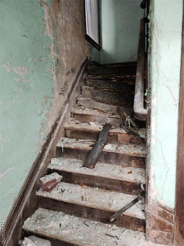 Picture 33