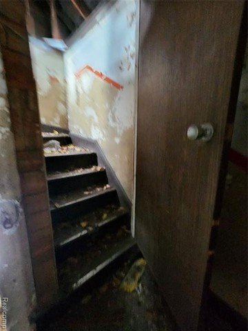 Picture 58