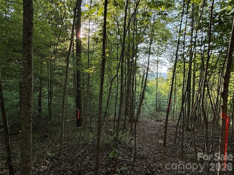 LAND - Hendersonville, NC