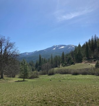 Recreation Land with Seasonal Creek