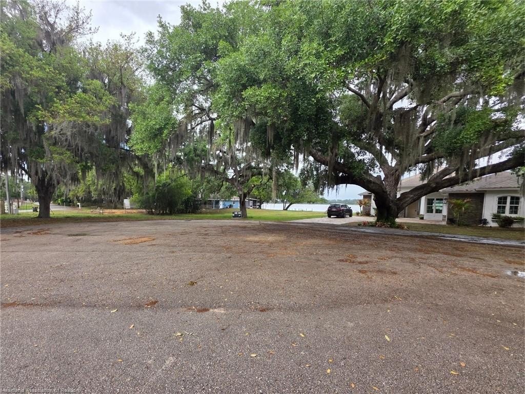 Picture 8