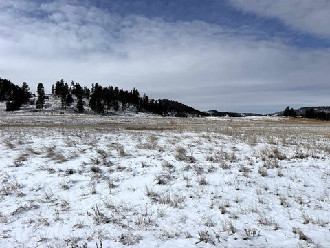 Wyoming Land with Creek Access