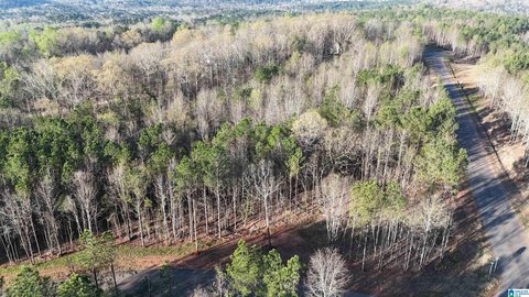 Helena Homesite in Horseshoe Ridge