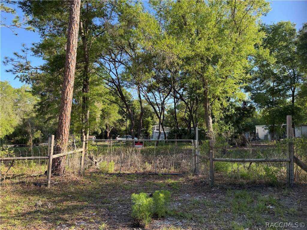 Picture 24