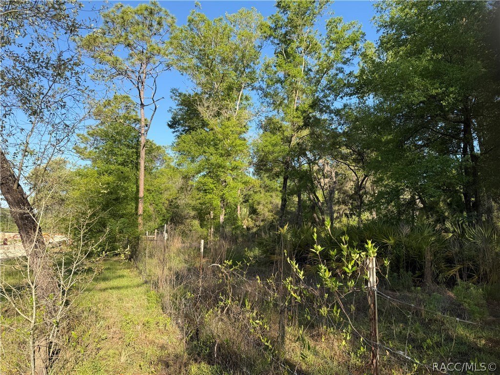 Picture 25