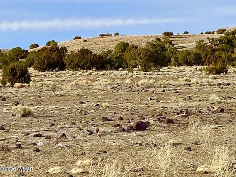 Land in Concho, Arizona
