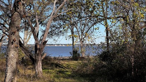 Waterfront Lot on Cedar Creek