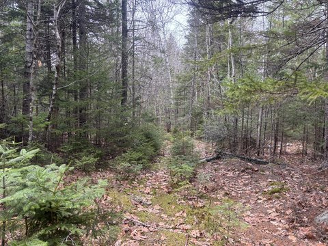 30 Acres of Prime Land