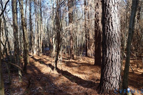 Land, Buffalo Junction, VA