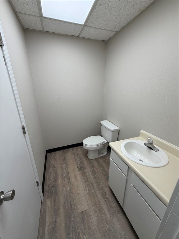 Picture 13