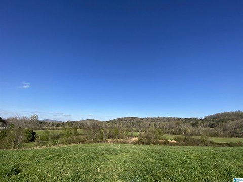 Residential Land Tracts with Views