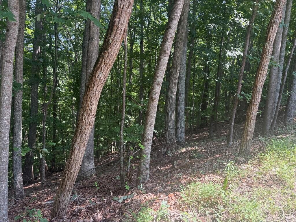 Picture 4