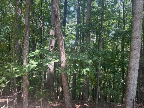 Blairsville, GA Vacant Wooded Lot