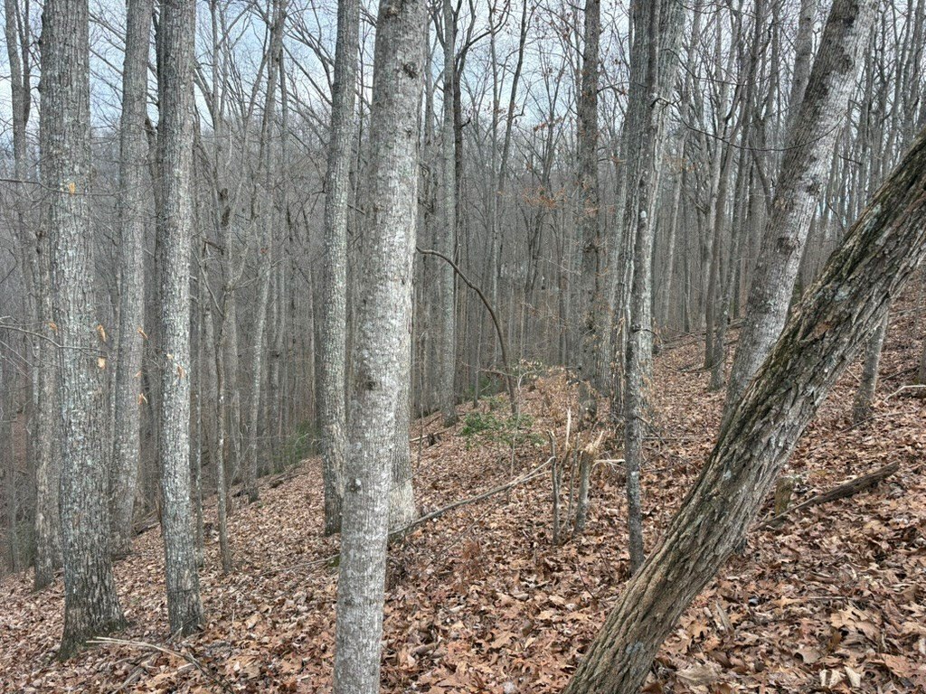 Picture 7