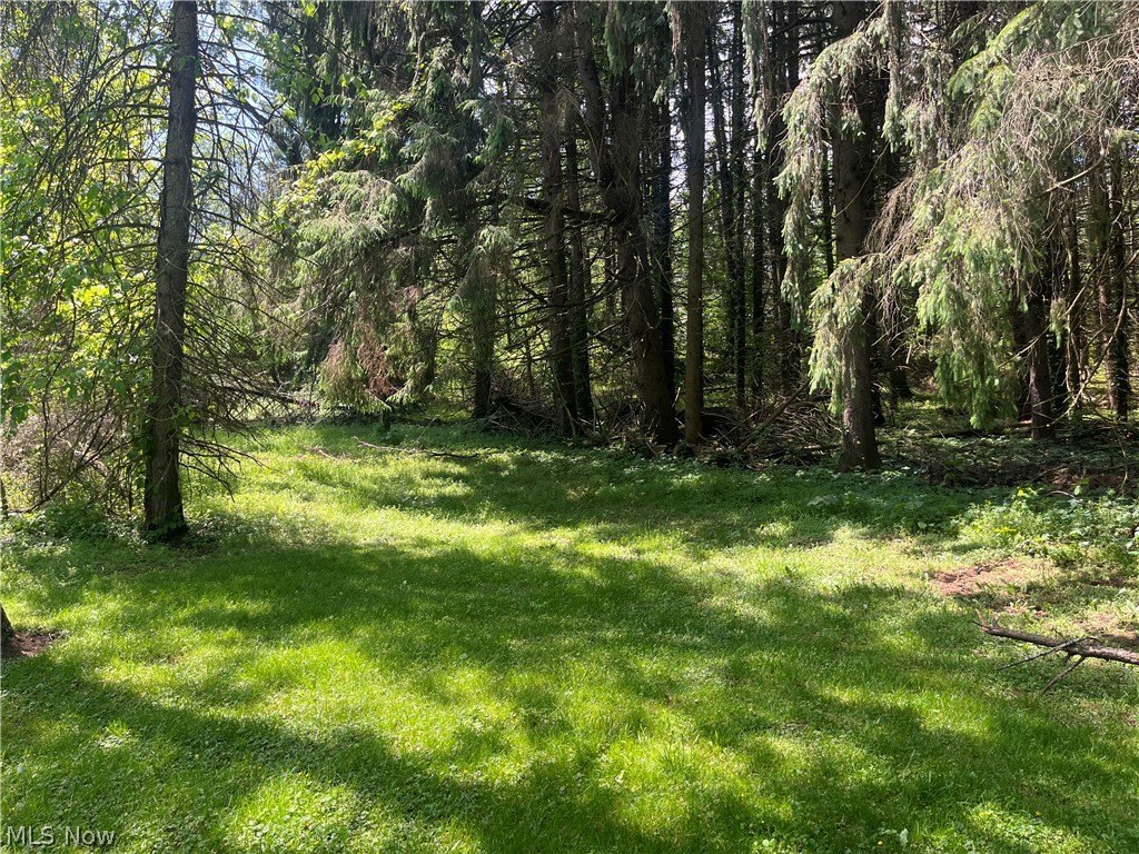 3.4 Acre Corner Lot