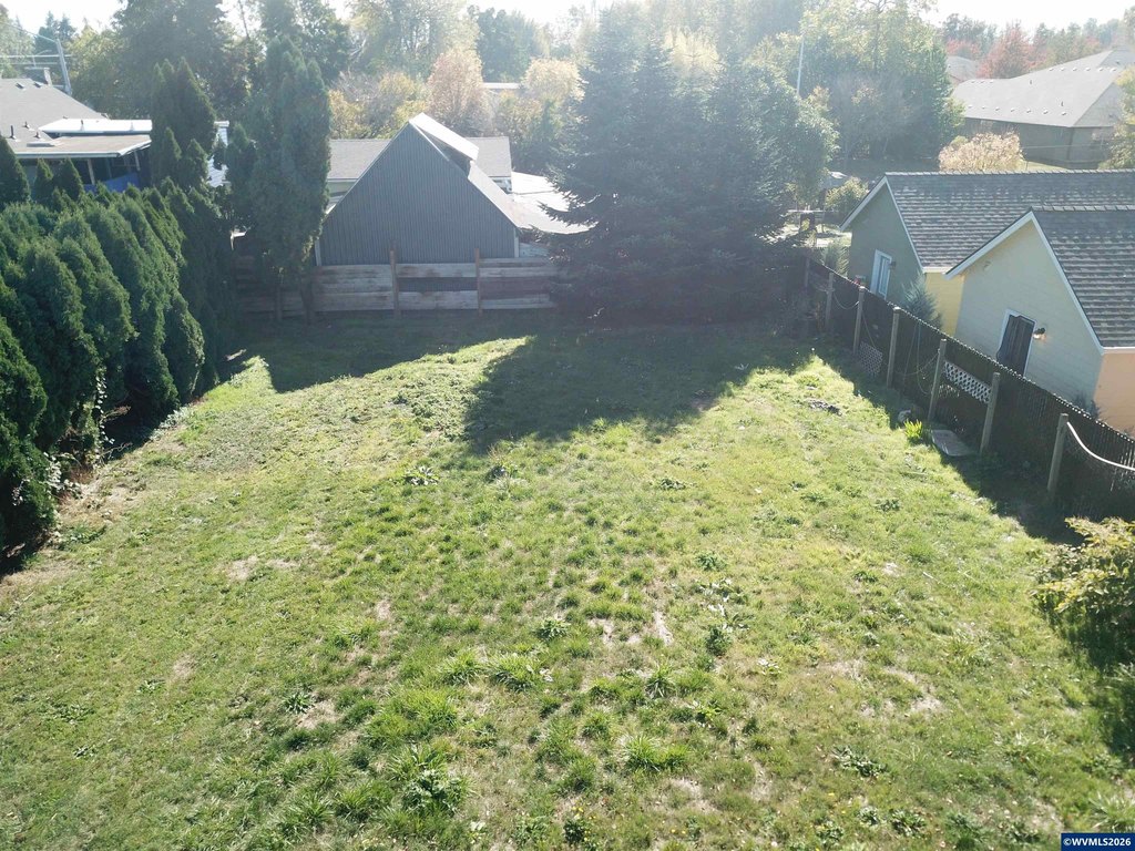 Picture 7