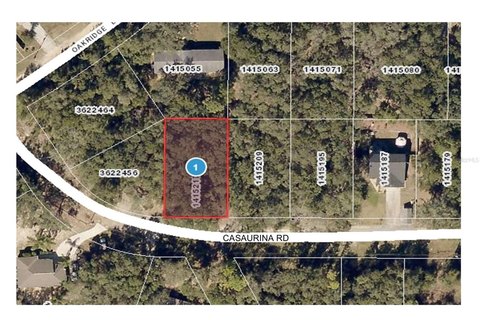 Residential Land in Lady Lake
