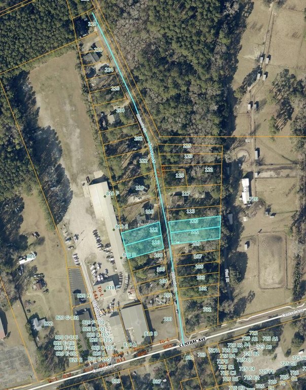Picture 3