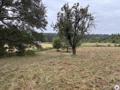 Linden, TX Homesite Tract