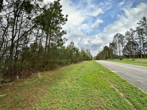 24.99 AC Hunting/Residential Land