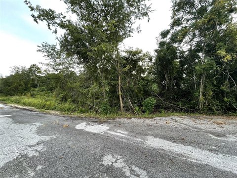 Residential Land in Silver Springs