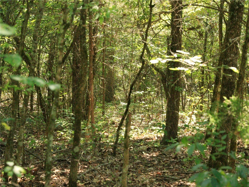 Residential Land Near Crown Lake