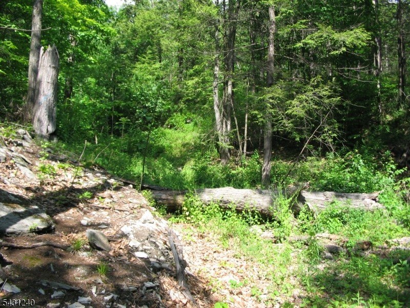 Picture 3