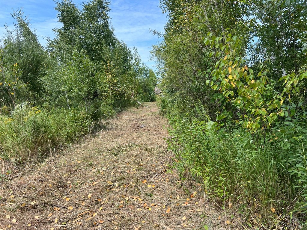 Picture 31