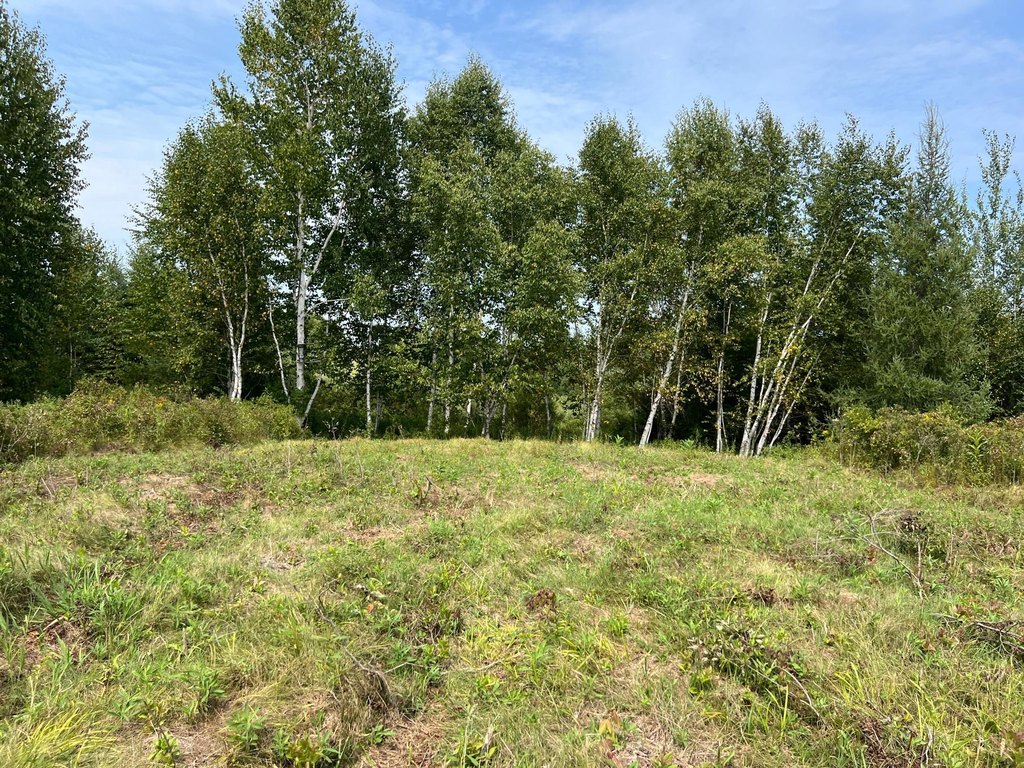 Picture 28