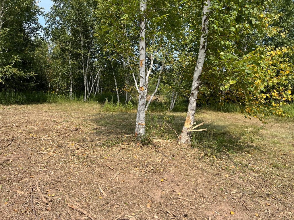 Picture 17