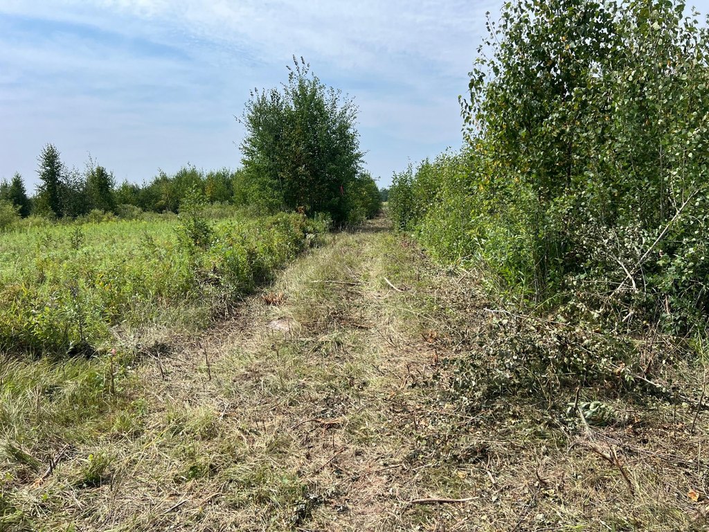 Picture 23