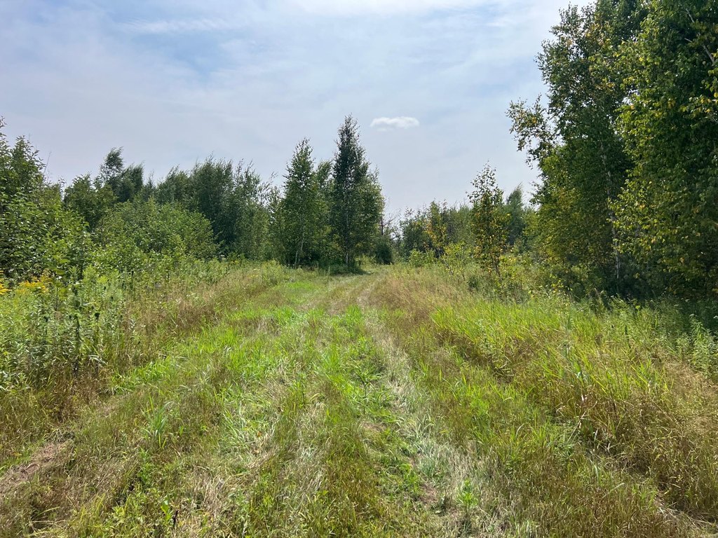 Picture 22