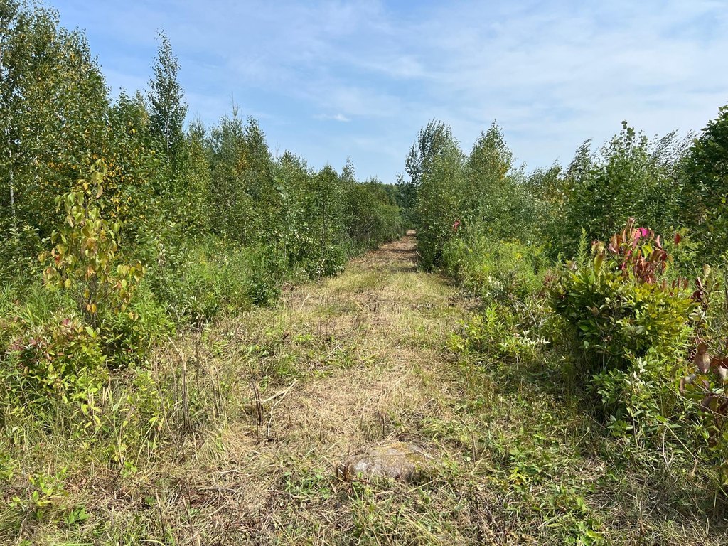 Picture 24