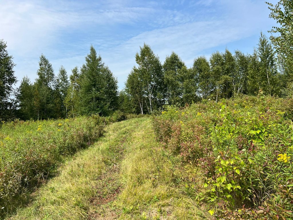 Picture 27