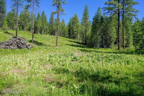 Serene 5-Acre Land Parcel