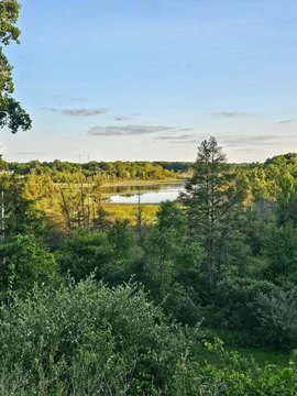 Land, Grass Lake, MI