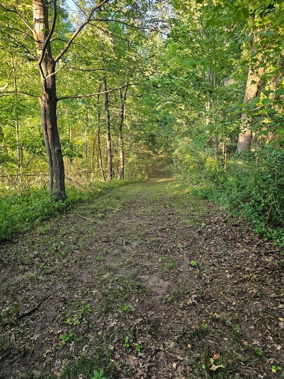 Picture 11