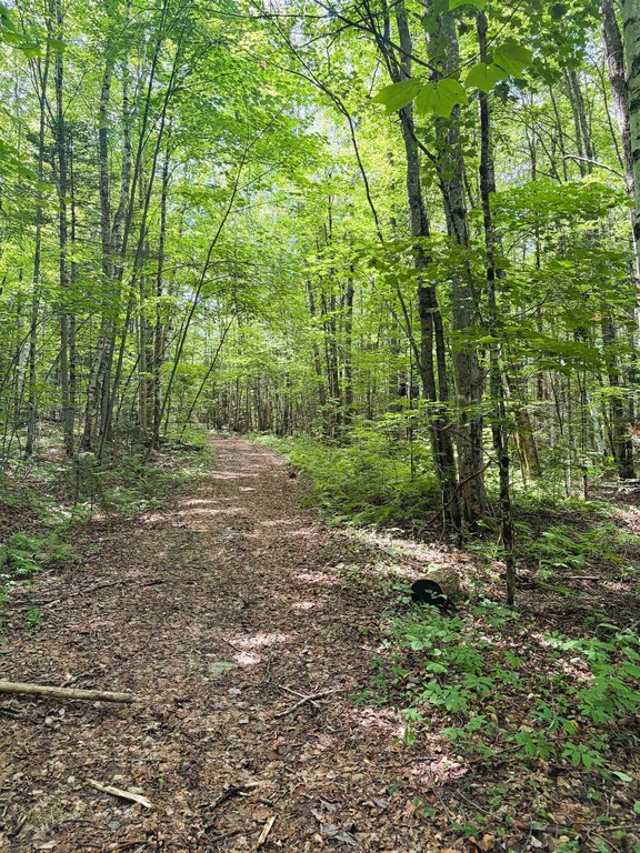 Picture 28