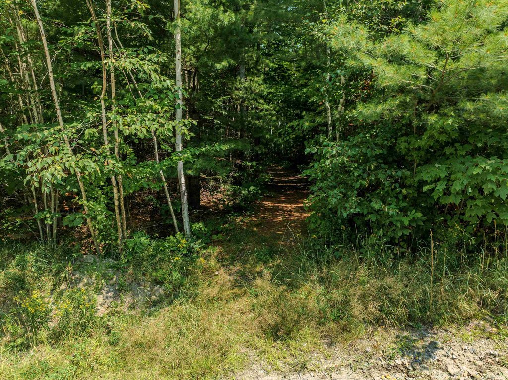 Picture 19