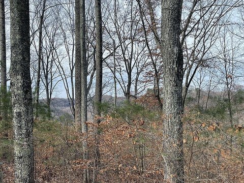 LAND - Russell Springs, KY