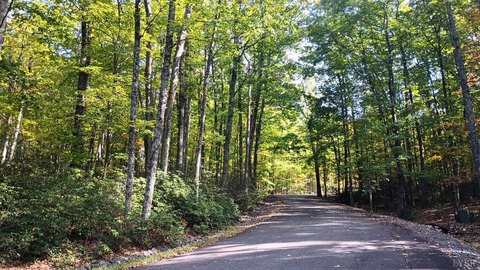 Nellysford Land Near Wintergreen Resort
