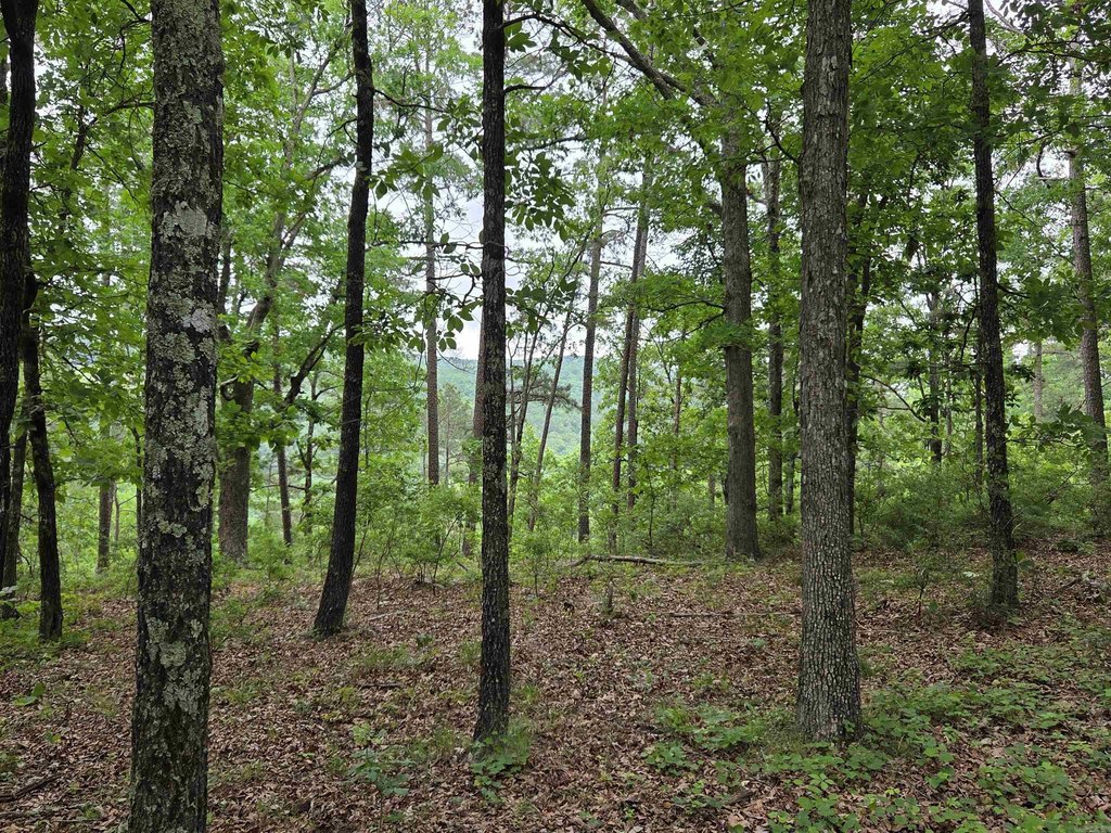 Picture 17