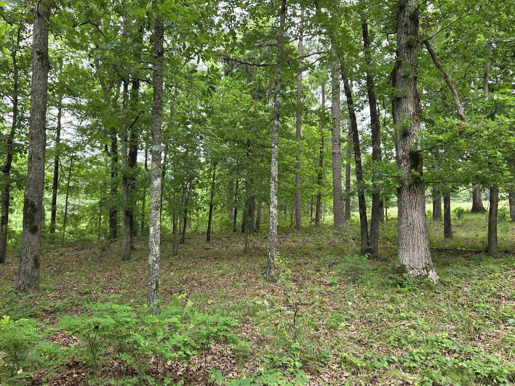 Picture 16