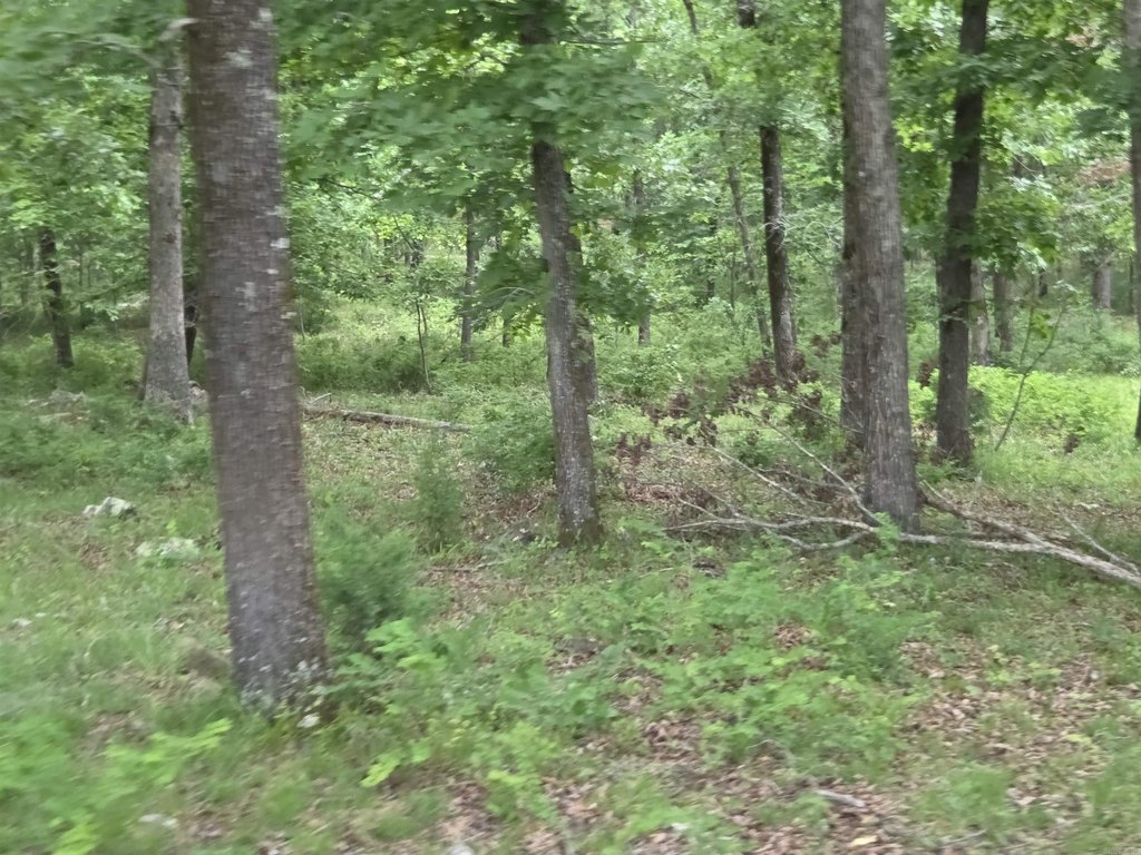 Picture 15