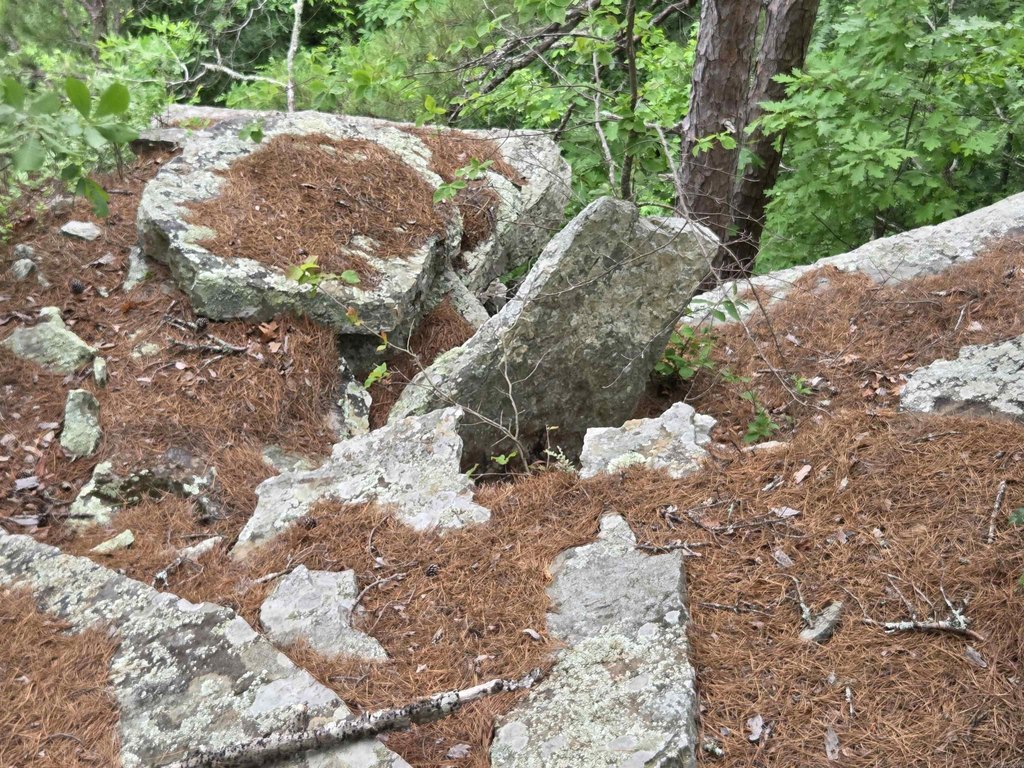 Picture 25