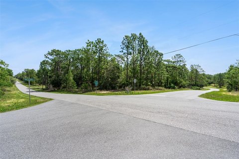 Land, CITRUS SPRINGS, FL