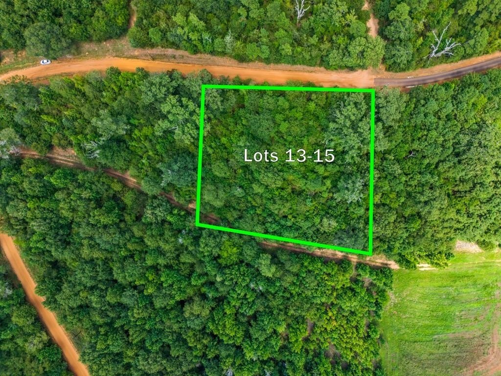 Wooded Lots in Hawkins, TX