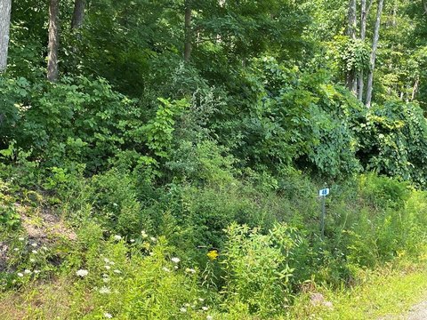 Residential Land with Mountain Views