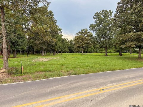 Livingston Land Near I-12
