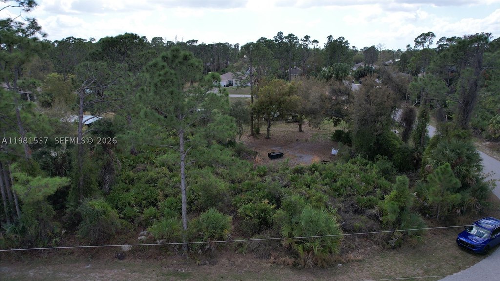 Picture 18